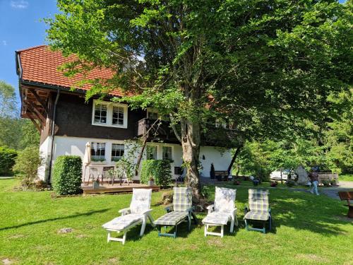 Altes Zollhüsli — Schluchsee — photo 3