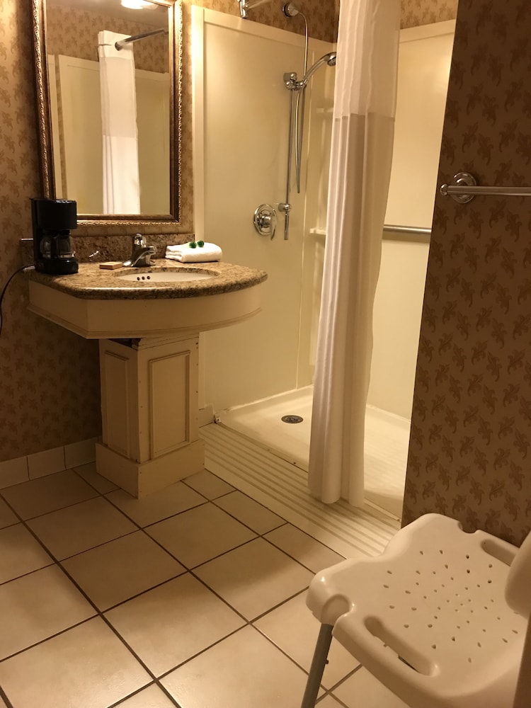 Ramada Dallas North - photo 17