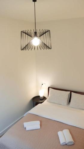 Super Cozy Apartment In the City Center