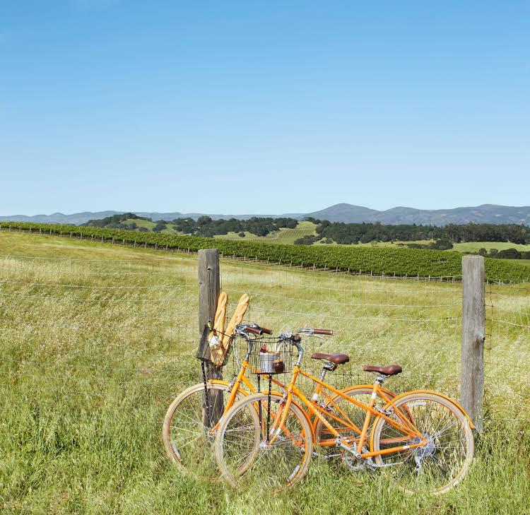 The Orchard at The Carneros Inn - photo 23