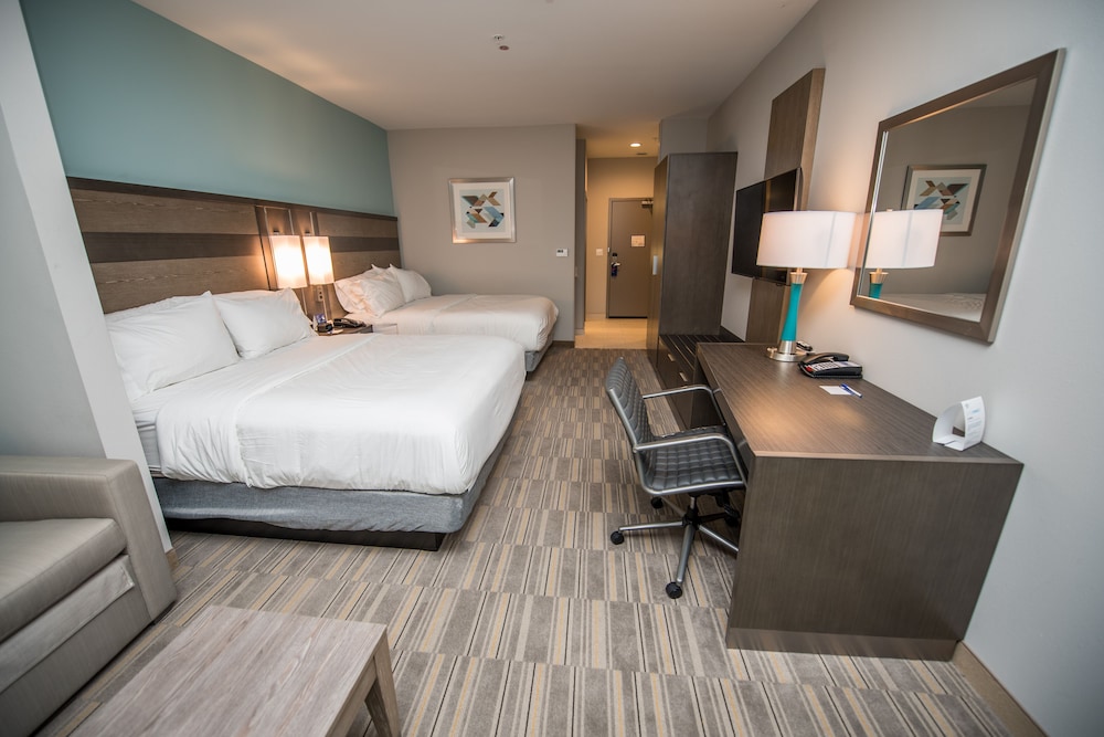 Holiday Inn Express & Suites Lake Charles South Casino Area by IHG - photo 24