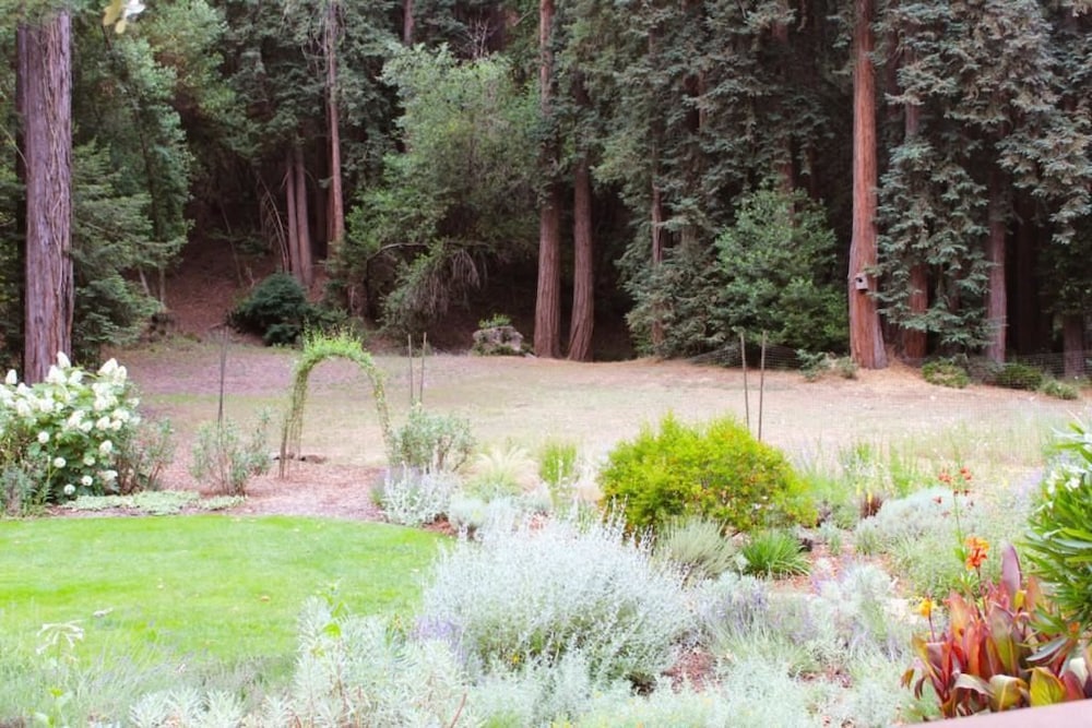 Glen Cameron Holiday - photo 12