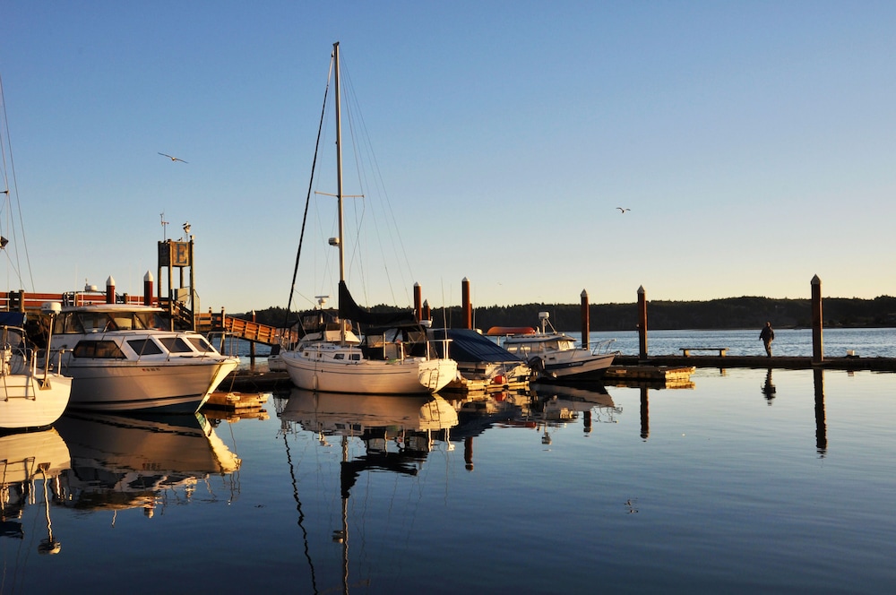 Embarcadero Resort Hotel & Marina - photo 86