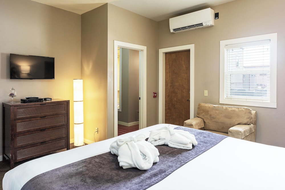 Bird Rock Hotel - photo 29