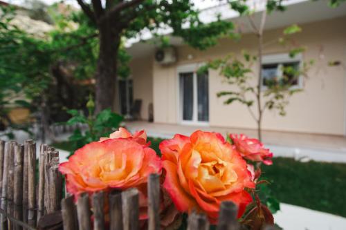 Lucy Apartament — 4-Star Luxury Hotel in Kamena Vourla, Greece