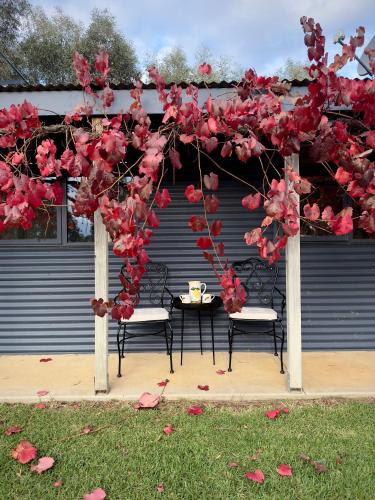 Peaceful getaway in stunning bush setting in Albury, Australia