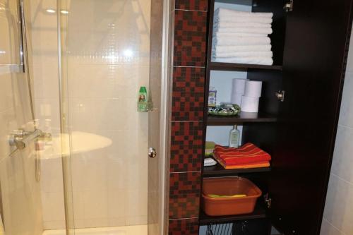Tsiklauri Luxurious Apartment in the City Centre
