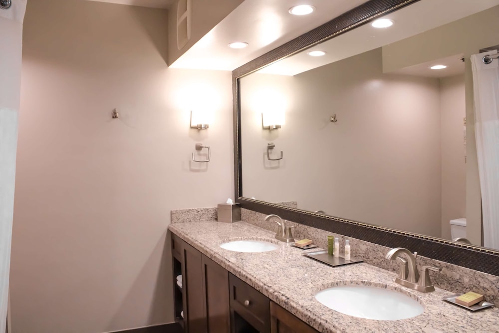 DoubleTree by Hilton Phoenix Mesa - photo 7