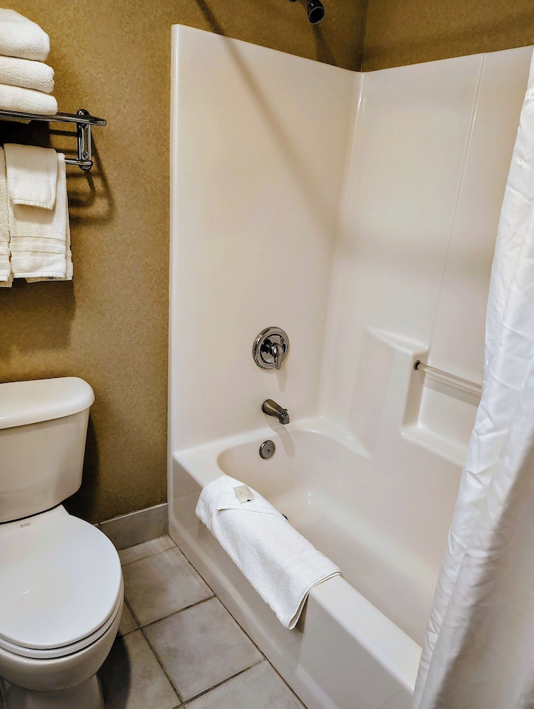 Medallion Inn & Suites - photo 16