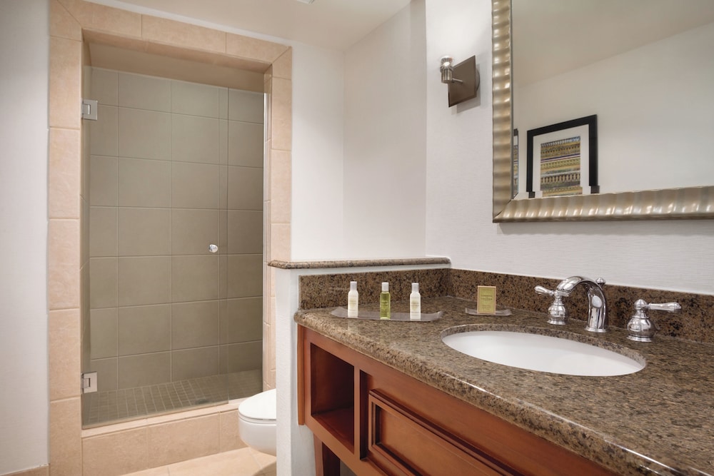 DoubleTree by Hilton Hotel Albuquerque - photo 28