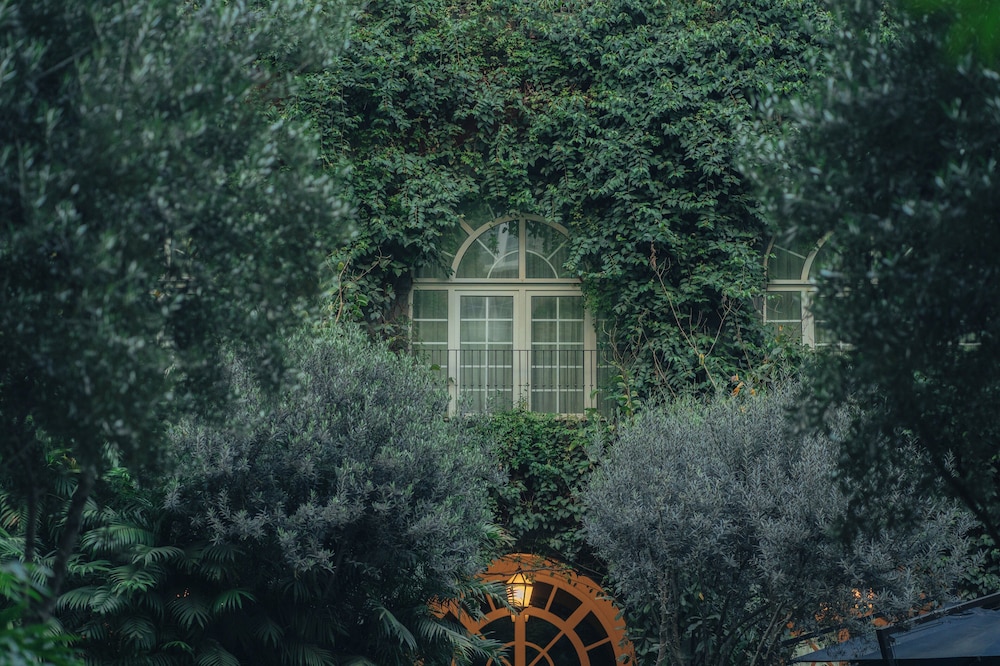 Garden view