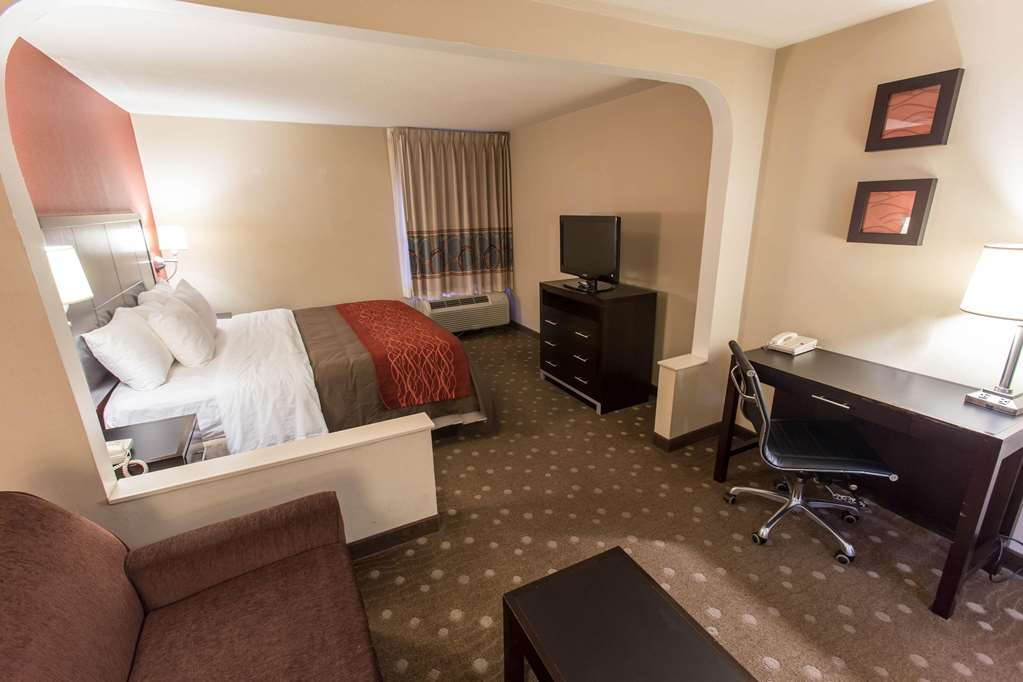 Comfort Inn Pittsburgh Crafton - photo 15