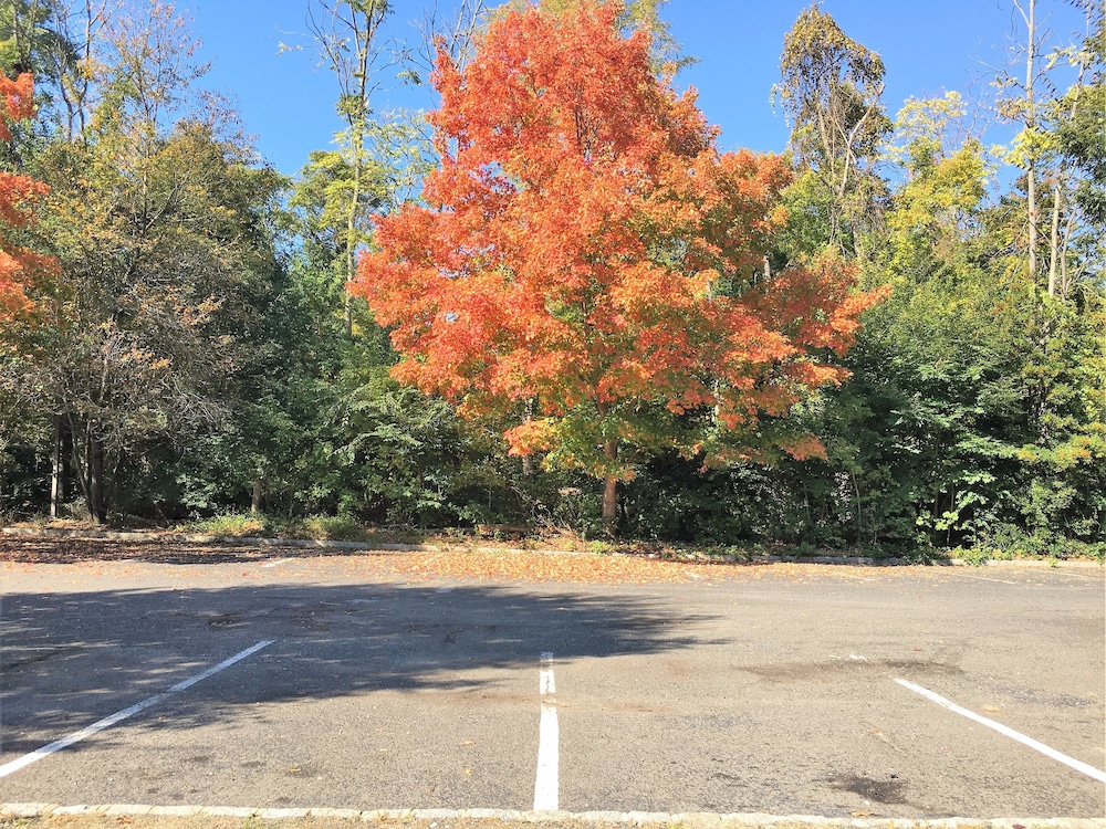 Colts Neck Inn Hotel - photo 28