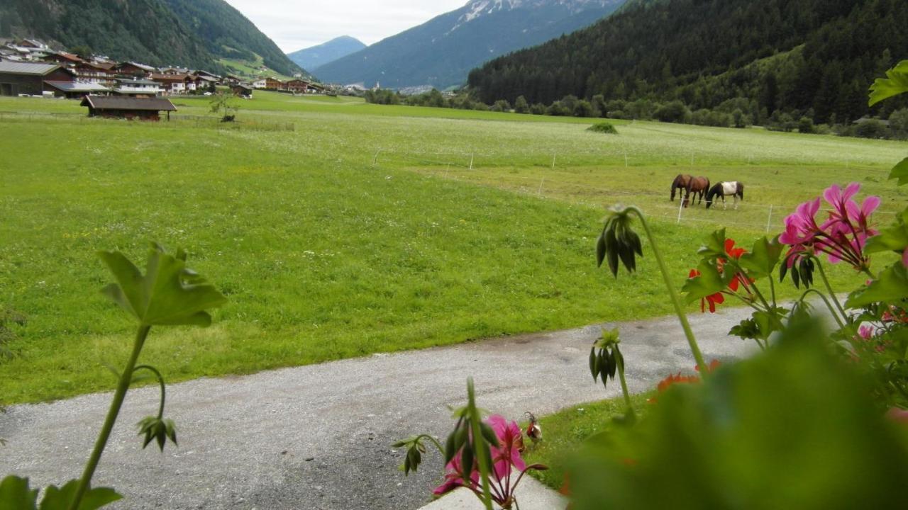 Luenerhof — Neustift Im Stubaital — photo 3
