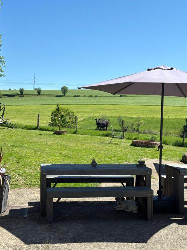 Ferienhaus Eifel Lotti - last minute hotel in Reuth