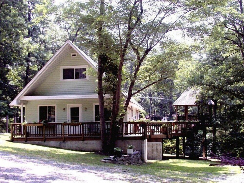 Woodland_magic - photo 13
