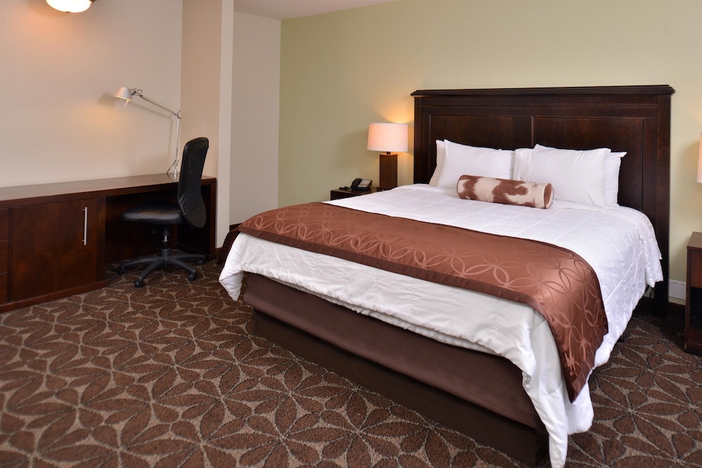 Americas Best Value Inn Memphis Airport - photo 9