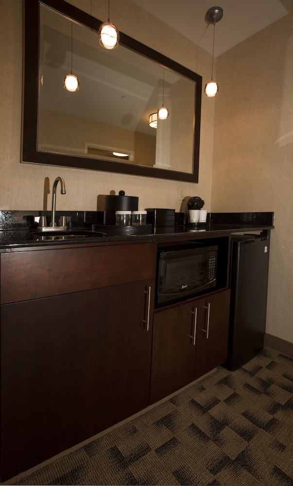 Embassy Suites Buffalo - photo 13