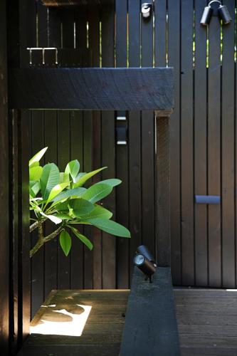 Shack Palace Noosa Home — 4-Star Luxury Hotel in Noosa Heads, Australia