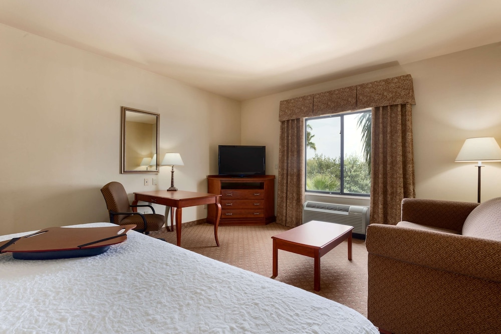 Hampton Inn & Suites Pharr - photo 12