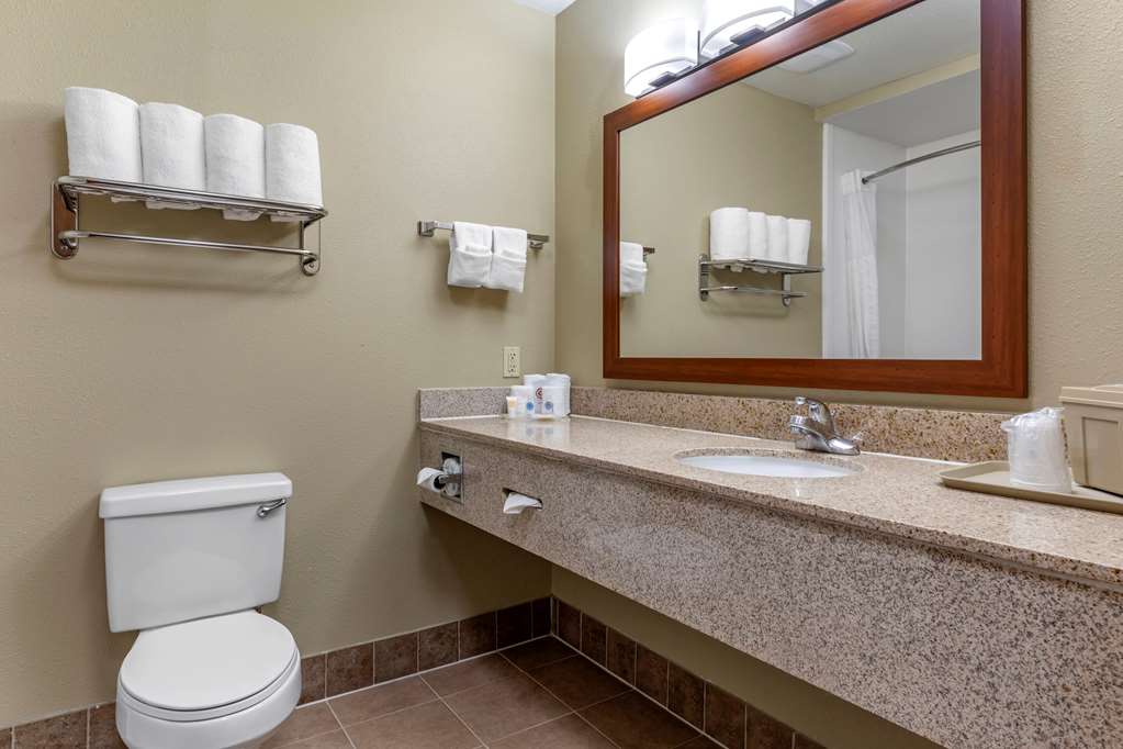 Comfort Suites Waco Near University Area - photo 21