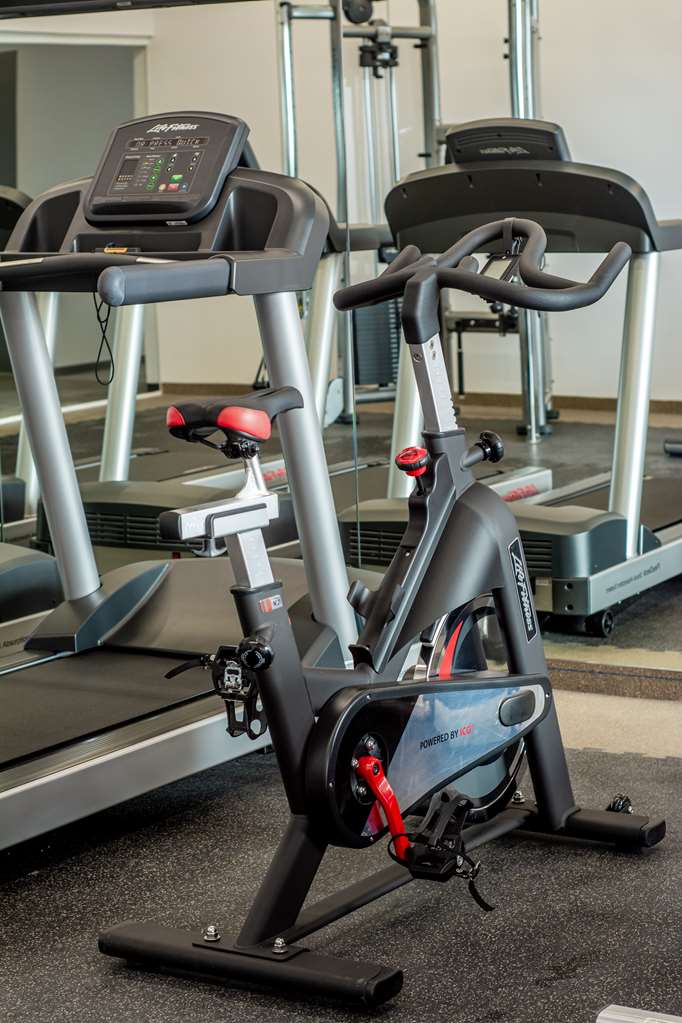 Gimnasio