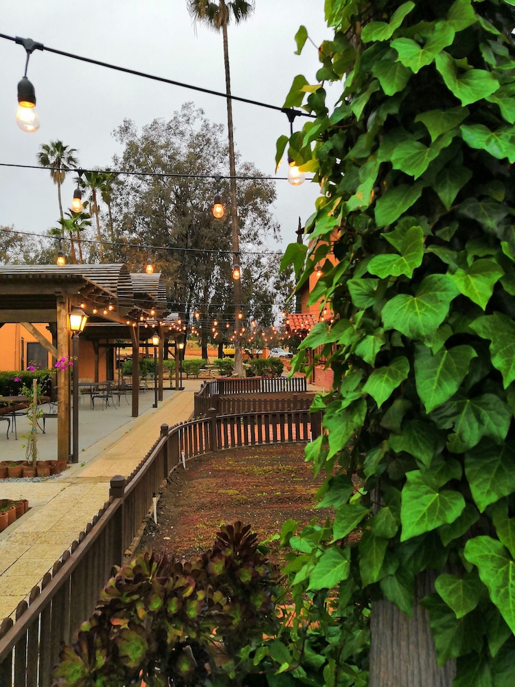 Hotel Boutique Rancho Tecate — 4-Star Luxury Hotel in Tecate, Mexico