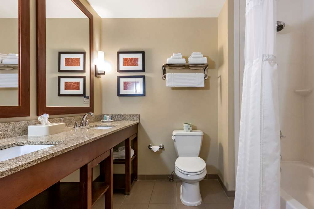 Comfort Suites Airport University - photo 22