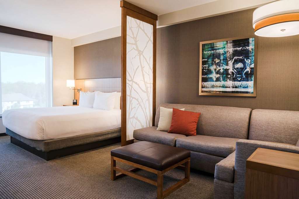 Hyatt Place Buffalo Amherst - photo 49