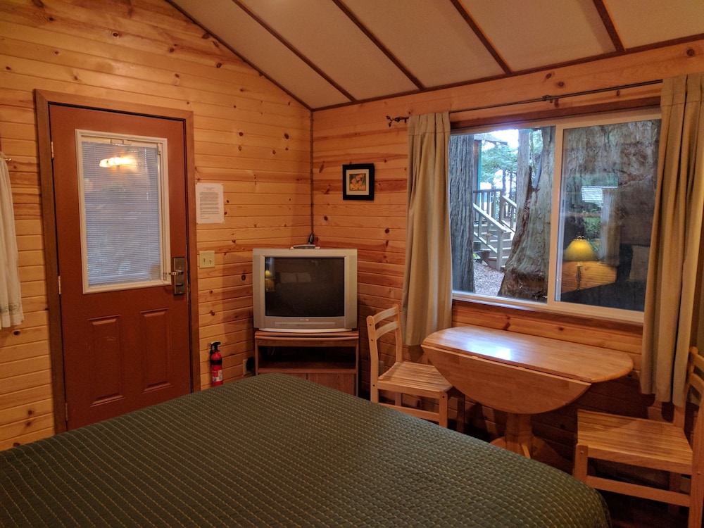 Emerald Forest Cabins - photo 20
