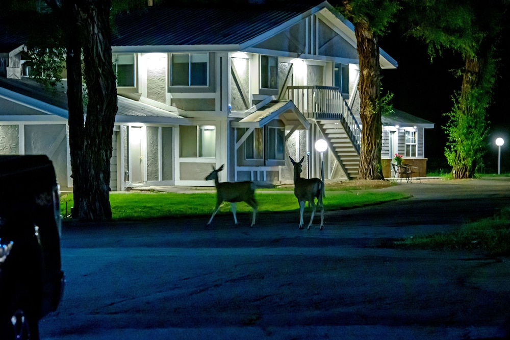 The Gunnison Inn at Dos Rios Golf Course - photo 104