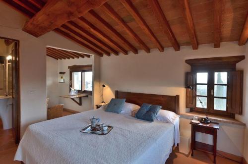 Vin Santo in Castelnuovo Berardenga, Italy