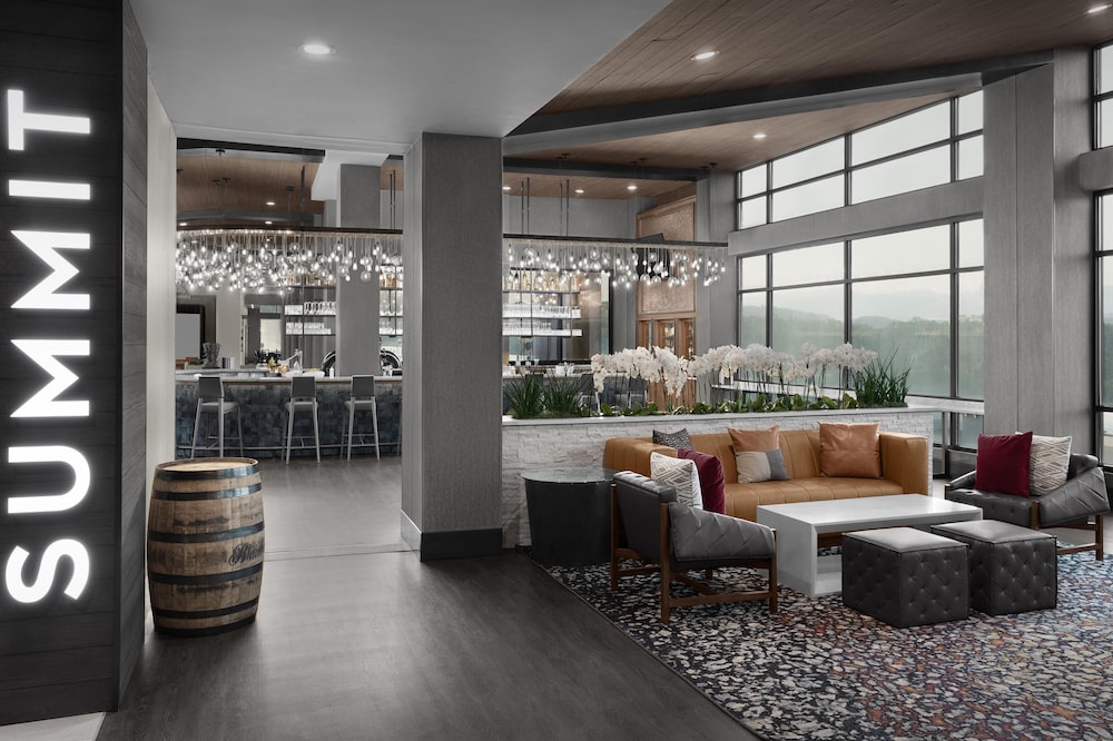 Embassy Suites by Hilton Pigeon Forge Resort - photo 44