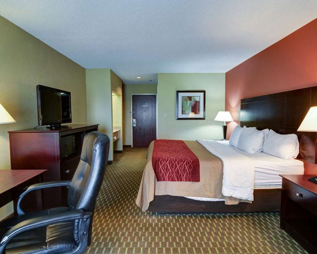 Quality Inn & Suites Pine Bluff - photo 3