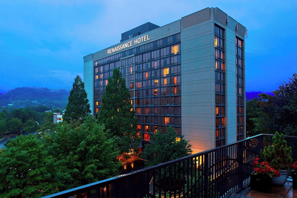 Renaissance Asheville Downtown Hotel - photo 33