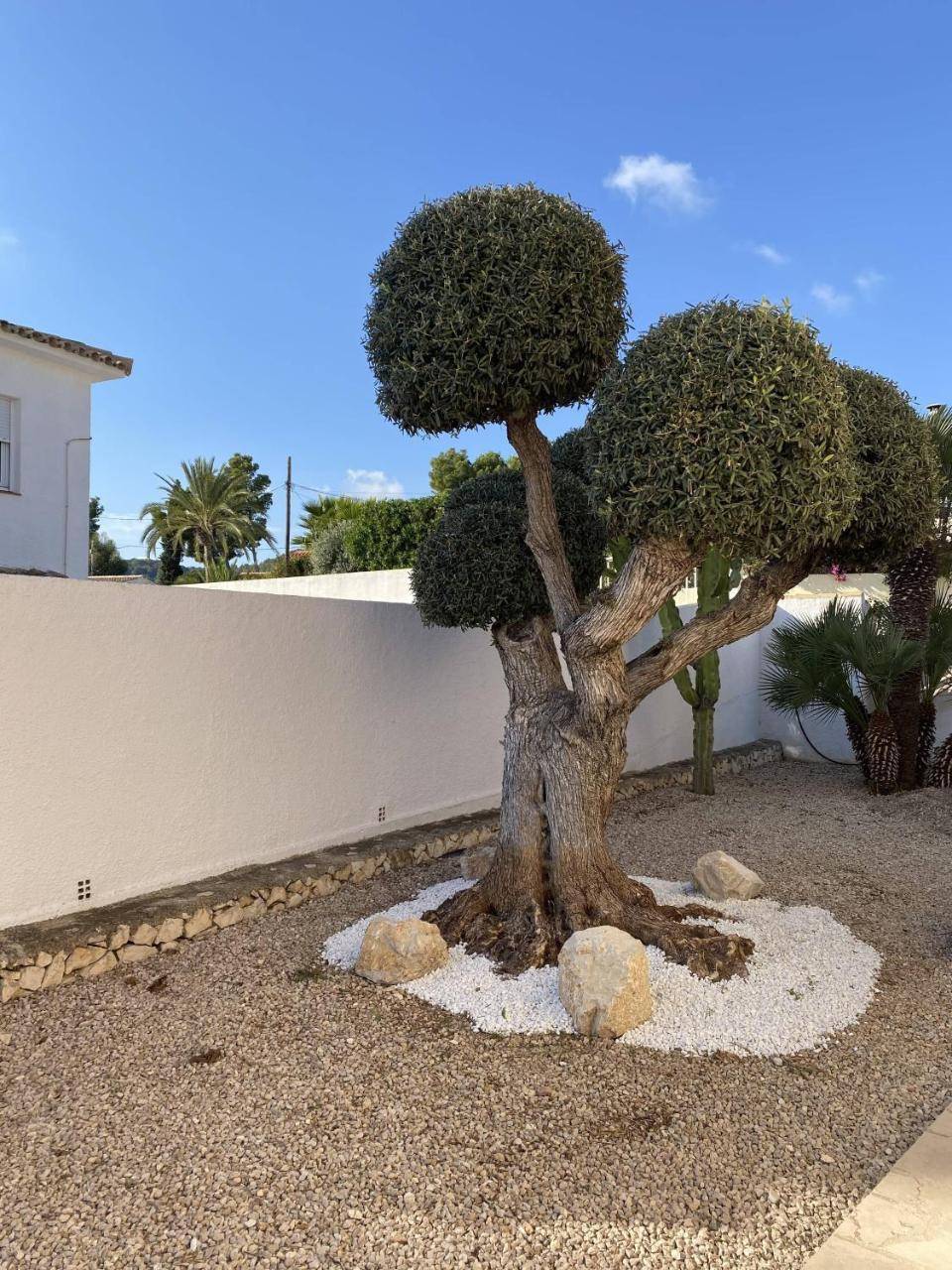 Villadoni: Comfortable Hospitable Relaxing Place — Benissa — photo 3