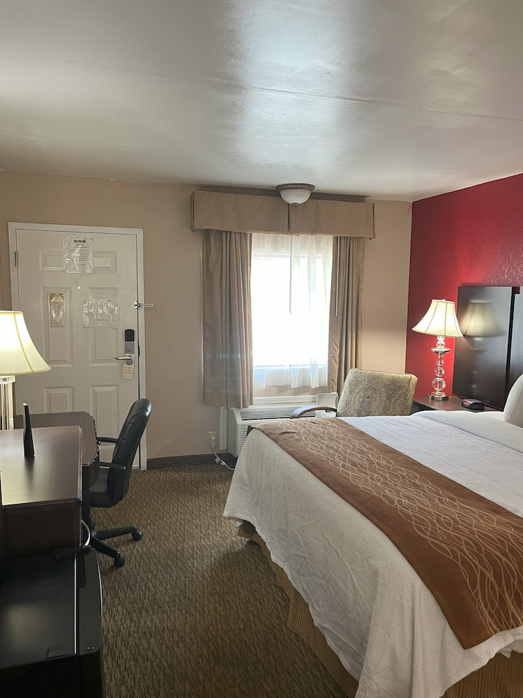 Pine Tree Inn - photo 33