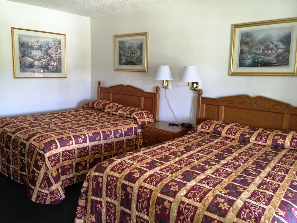 99 Palms Inn & Suites - photo 5