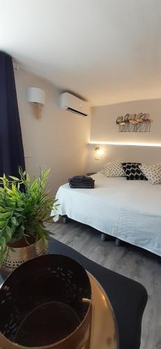 Camere e attico al mare in Gabicce Mare, Italy