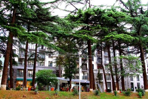 Rustaveli Residence I