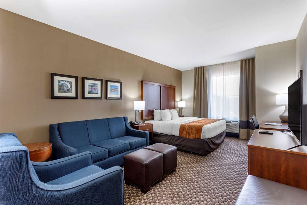 Comfort Inn & Suites Atoka Millington - photo 20