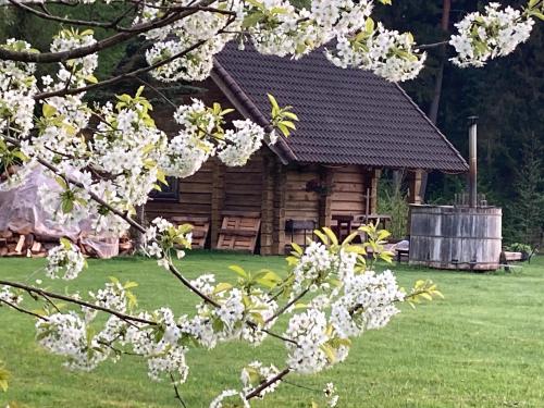 Mežupes in Unknown City, Latvia