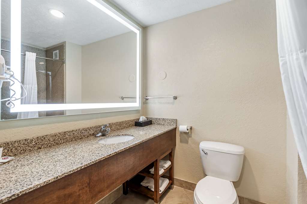Comfort Suites Merrillville near US 30 - photo 9
