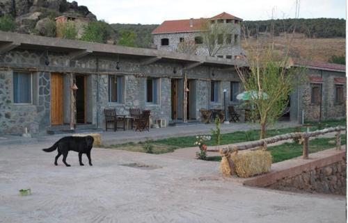 Tamanoucht in Ifrane, Morocco
