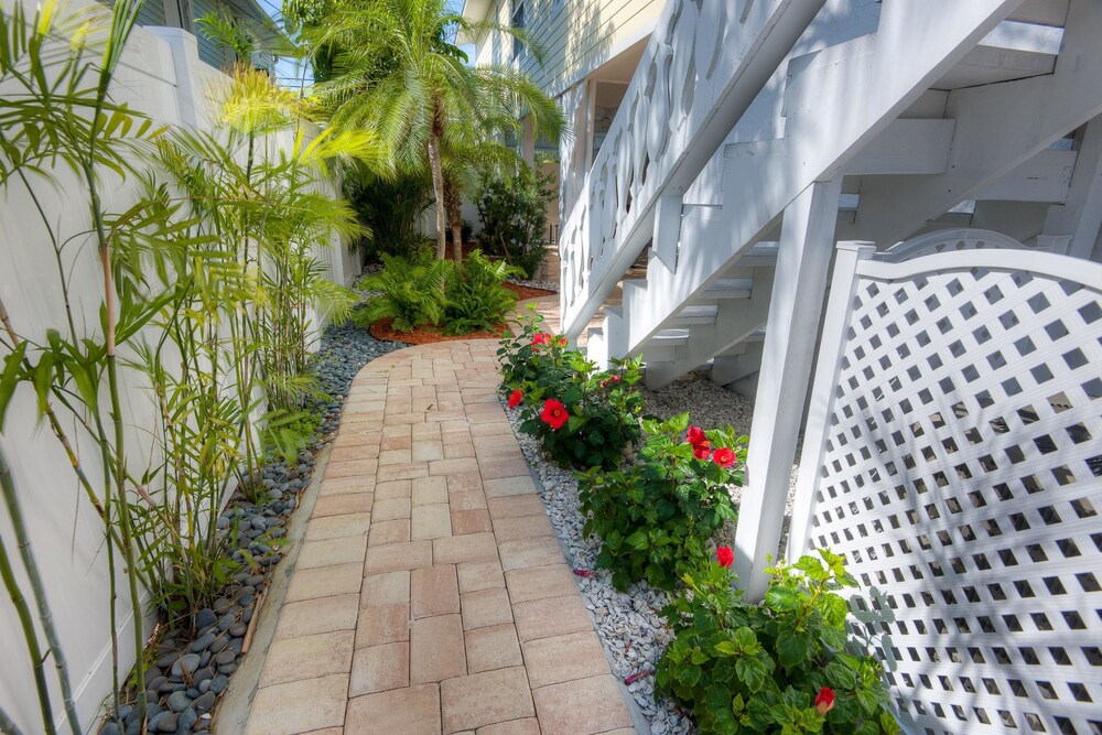Pineapple Key - photo 23