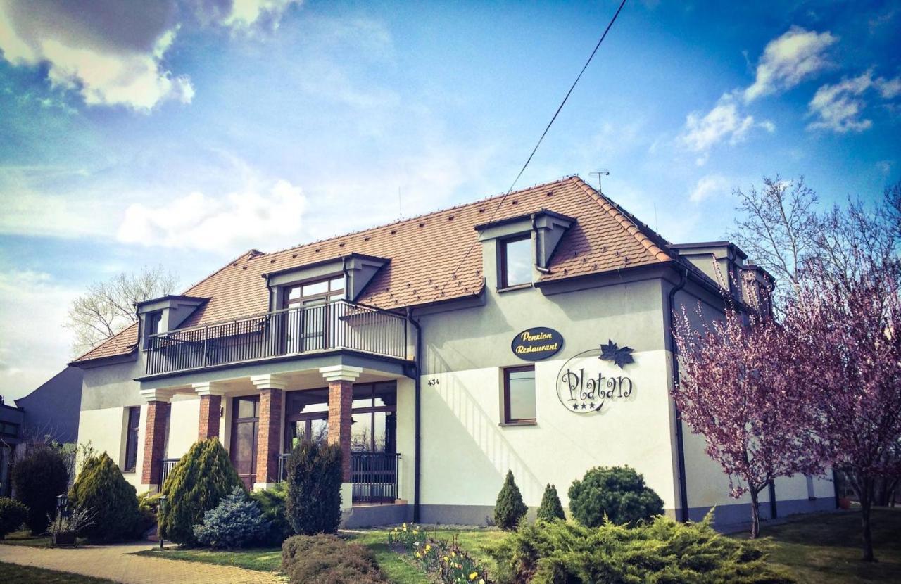 Penzion Platan in Dunajska Streda, Slovakia