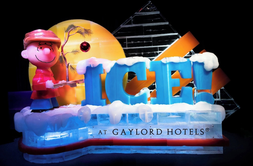 Gaylord Texan Resort & Convention Center - photo 50
