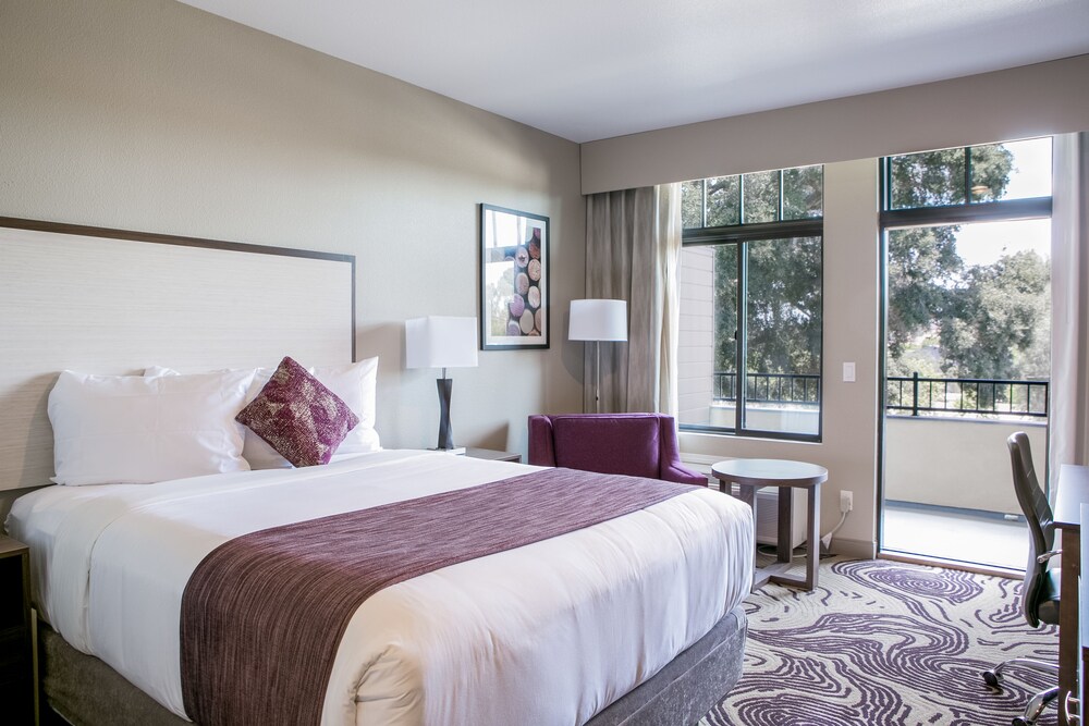 Hotel Siri Downtown Paso Robles - photo 4