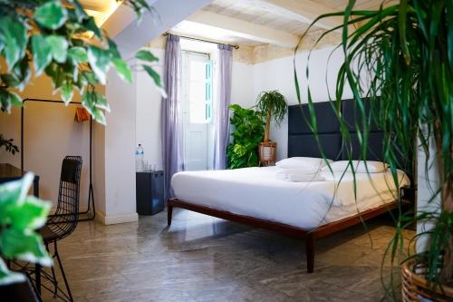 Valhalla Boutique Hotel — Valletta — photo 5