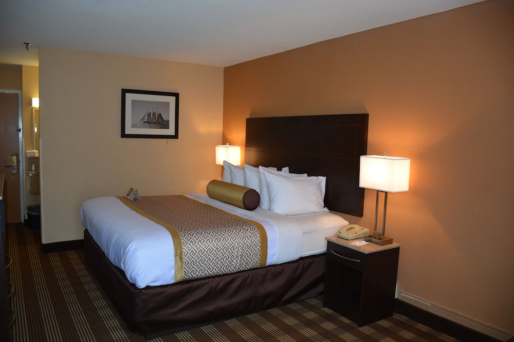 Cape Cod Hotel - photo 4